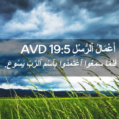 Picture 02 - أَعْمَالُ ٱلرُّسُلِ 19:5 AVD - فَلَمَّا سَمِعُوا - Bible Verse Picture