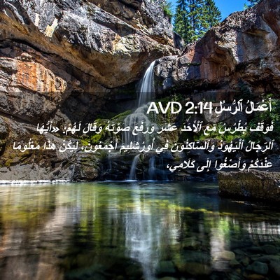 Picture 02 - أَعْمَالُ ٱلرُّسُلِ 2:14 AVD - فَوَقَفَ بُطْرُسُ مَعَ - Bible Verse Picture