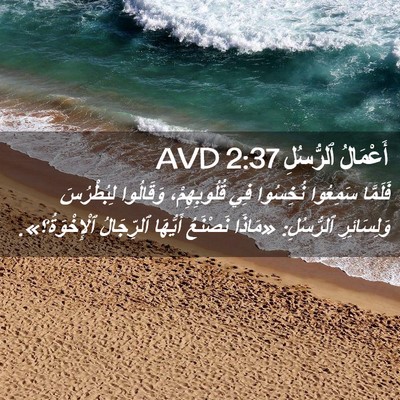 Picture 02 - أَعْمَالُ ٱلرُّسُلِ 2:37 AVD - فَلَمَّا سَمِعُوا - Bible Verse Picture