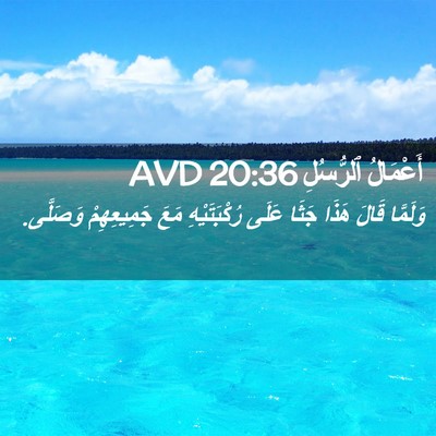 Picture 02 - أَعْمَالُ ٱلرُّسُلِ 20:36 AVD - وَلَمَّا قَالَ هَذَا جَثَا - Bible Verse Picture