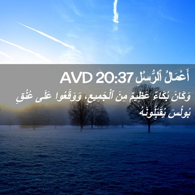 Picture 02 - أَعْمَالُ ٱلرُّسُلِ 20:37 AVD - وَكَانَ بُكَاءٌ عَظِيمٌ - Bible Verse Picture