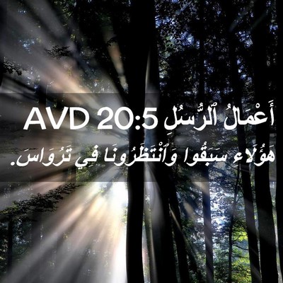 Picture 02 - أَعْمَالُ ٱلرُّسُلِ 20:5 AVD - هَؤُلَاءِ سَبَقُوا - Bible Verse Picture