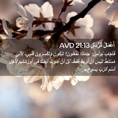 Picture 02 - أَعْمَالُ ٱلرُّسُلِ 21:13 AVD - فَأَجَابَ بُولُسُ: «مَاذَا - Bible Verse Picture