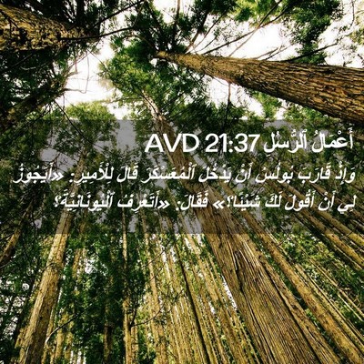 Picture 02 - أَعْمَالُ ٱلرُّسُلِ 21:37 AVD - وَإِذْ قَارَبَ بُولُسُ - Bible Verse Picture