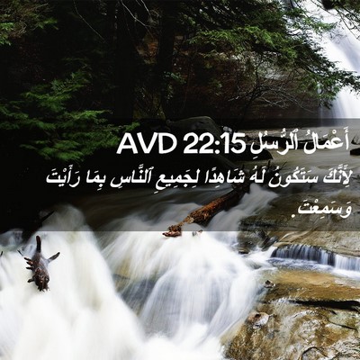 Picture 02 - أَعْمَالُ ٱلرُّسُلِ 22:15 AVD - لِأَنَّكَ سَتَكُونُ لَهُ - Bible Verse Picture