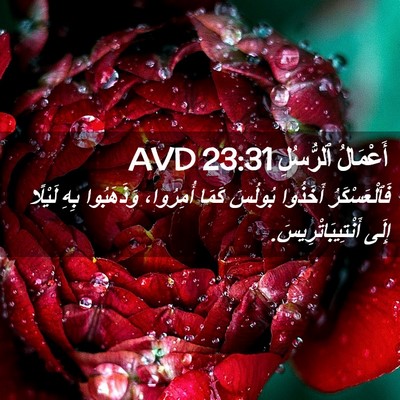 Picture 02 - أَعْمَالُ ٱلرُّسُلِ 23:31 AVD - فَٱلْعَسْكَرُ أَخَذُوا - Bible Verse Picture