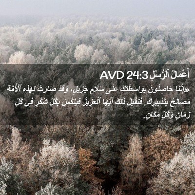 Picture 02 - أَعْمَالُ ٱلرُّسُلِ 24:3 AVD - «إِنَّنَا حَاصِلُونَ - Bible Verse Picture