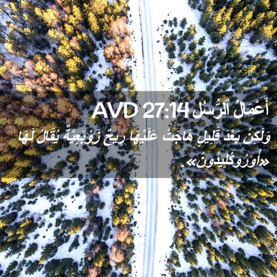 Picture 02 - أَعْمَالُ ٱلرُّسُلِ 27:14 AVD - وَلَكِنْ بَعْدَ قَلِيلٍ - Bible Verse Picture