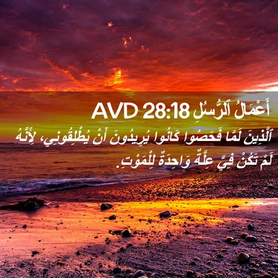 Picture 02 - أَعْمَالُ ٱلرُّسُلِ 28:18 AVD - ٱلَّذِينَ لَمَّا فَحَصُوا - Bible Verse Picture
