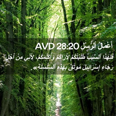 Picture 02 - أَعْمَالُ ٱلرُّسُلِ 28:20 AVD - فَلِهَذَا ٱلسَّبَبِ - Bible Verse Picture