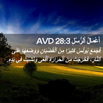 Picture 02 - أَعْمَالُ ٱلرُّسُلِ 28:3 AVD - فَجَمَعَ بُولُسُ كَثِيرًا - Bible Verse Picture