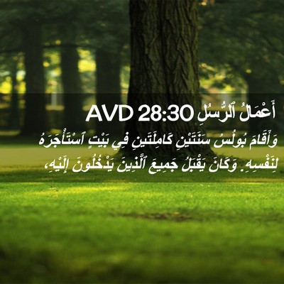 Picture 02 - أَعْمَالُ ٱلرُّسُلِ 28:30 AVD - وَأَقَامَ بُولُسُ - Bible Verse Picture