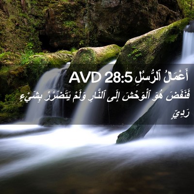 Picture 02 - أَعْمَالُ ٱلرُّسُلِ 28:5 AVD - فَنَفَضَ هُوَ ٱلْوَحْشَ - Bible Verse Picture