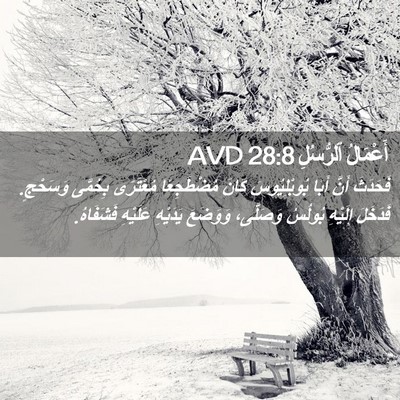 Picture 02 - أَعْمَالُ ٱلرُّسُلِ 28:8 AVD - فَحَدَثَ أَنَّ أَبَا - Bible Verse Picture