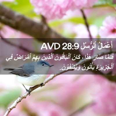 Picture 02 - أَعْمَالُ ٱلرُّسُلِ 28:9 AVD - فَلَمَّا صَارَ هَذَا، - Bible Verse Picture