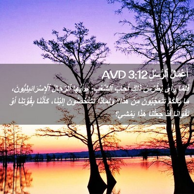 Picture 02 - أَعْمَالُ ٱلرُّسُلِ 3:12 AVD - فَلَمَّا رَأَى بُطْرُسُ - Bible Verse Picture