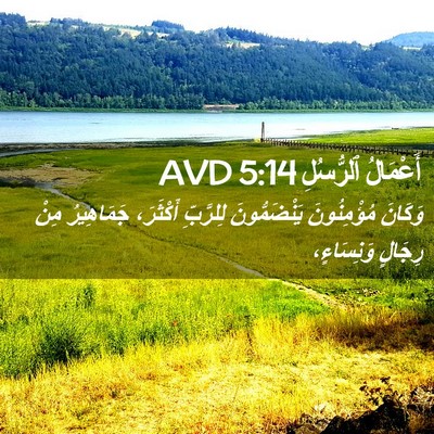 Picture 02 - أَعْمَالُ ٱلرُّسُلِ 5:14 AVD - وَكَانَ مُؤْمِنُونَ - Bible Verse Picture