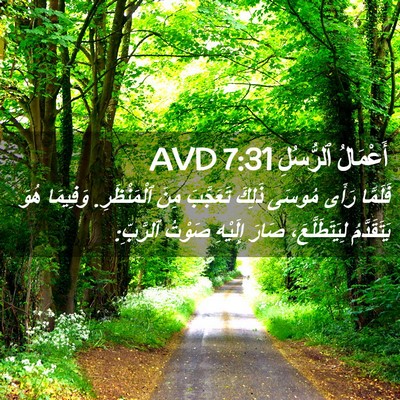 Picture 02 - أَعْمَالُ ٱلرُّسُلِ 7:31 AVD - فَلَمَّا رَأَى مُوسَى - Bible Verse Picture