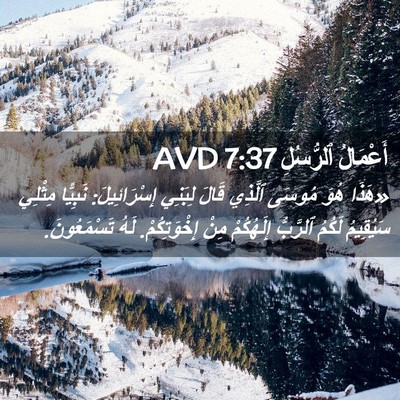 Picture 02 - أَعْمَالُ ٱلرُّسُلِ 7:37 AVD - «هَذَا هُوَ مُوسَى ٱلَّذِي - Bible Verse Picture