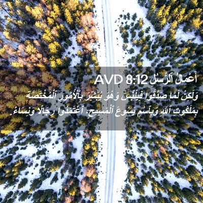 Picture 02 - أَعْمَالُ ٱلرُّسُلِ 8:12 AVD - وَلَكِنْ لَمَّا صَدَّقُوا - Bible Verse Picture