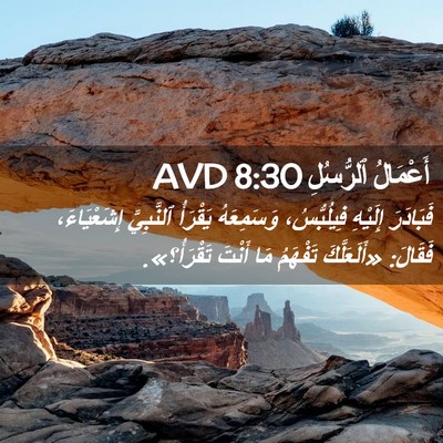 Picture 02 - أَعْمَالُ ٱلرُّسُلِ 8:30 AVD - فَبَادَرَ إِلَيْهِ - Bible Verse Picture