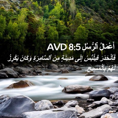 Picture 02 - أَعْمَالُ ٱلرُّسُلِ 8:5 AVD - فَٱنْحَدَرَ فِيلُبُّسُ - Bible Verse Picture