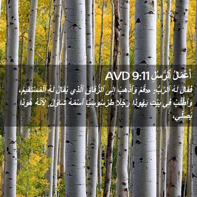Picture 02 - أَعْمَالُ ٱلرُّسُلِ 9:11 AVD - فَقَالَ لَهُ ٱلرَّبُّ: - Bible Verse Picture