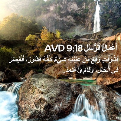 Picture 02 - أَعْمَالُ ٱلرُّسُلِ 9:18 AVD - فَلِلْوَقْتِ وَقَعَ مِنْ - Bible Verse Picture