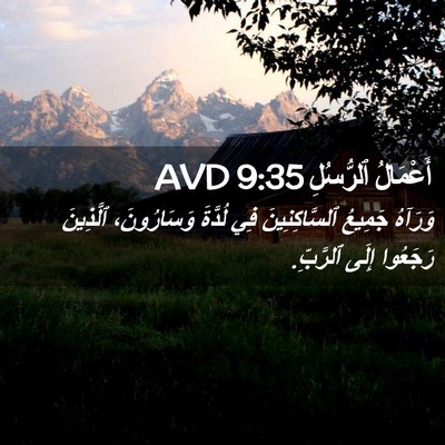 Picture 02 - أَعْمَالُ ٱلرُّسُلِ 9:35 AVD - وَرَآهُ جَمِيعُ - Bible Verse Picture