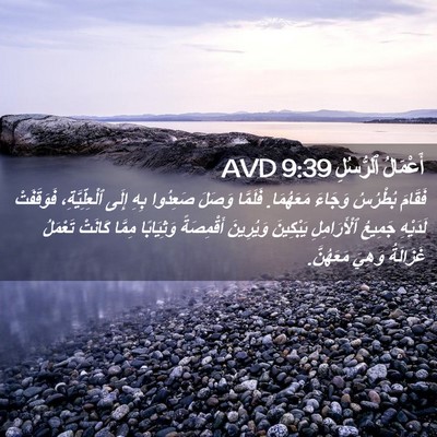 Picture 02 - أَعْمَالُ ٱلرُّسُلِ 9:39 AVD - فَقَامَ بُطْرُسُ وَجَاءَ - Bible Verse Picture