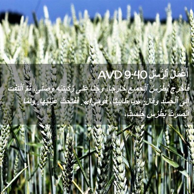Picture 02 - أَعْمَالُ ٱلرُّسُلِ 9:40 AVD - فَأَخْرَجَ بُطْرُسُ - Bible Verse Picture