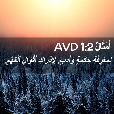 Picture 02 - أَمْثَالٌ 1:2 AVD - لِمَعْرِفَةِ حِكْمَةٍ - Bible Verse Picture