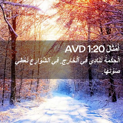 Picture 02 - أَمْثَالٌ 1:20 AVD - اَلْحِكْمَةُ تُنَادِي فِي - Bible Verse Picture