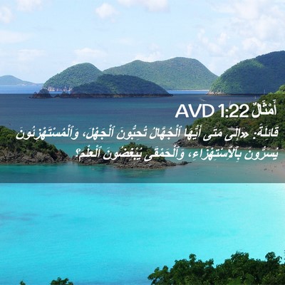 Picture 02 - أَمْثَالٌ 1:22 AVD - قَائِلَةً: «إِلَى مَتَى - Bible Verse Picture