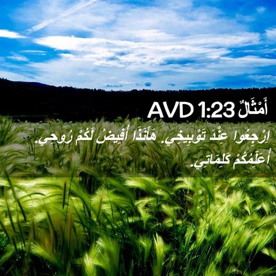 Picture 02 - أَمْثَالٌ 1:23 AVD - اِرْجِعُوا عِنْدَ - Bible Verse Picture
