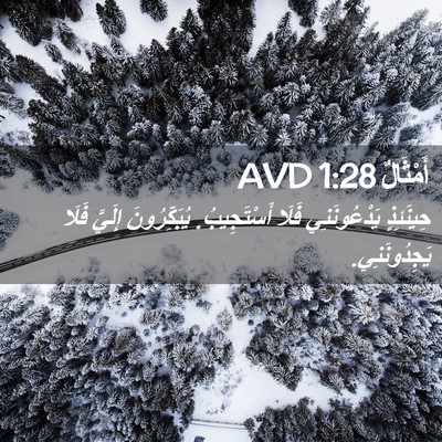 Picture 02 - أَمْثَالٌ 1:28 AVD - حِينَئِذٍ يَدْعُونَنِي - Bible Verse Picture