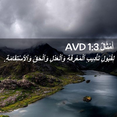 Picture 02 - أَمْثَالٌ 1:3 AVD - لِقُبُولِ تَأْدِيبِ - Bible Verse Picture