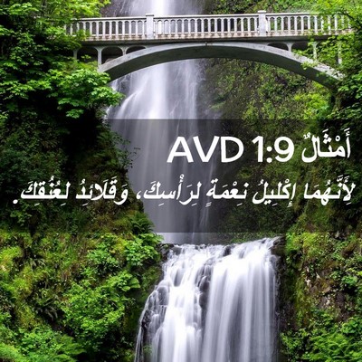 Picture 02 - أَمْثَالٌ 1:9 AVD - لِأَنَّهُمَا إِكْلِيلُ - Bible Verse Picture