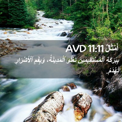 Picture 02 - أَمْثَالٌ 11:11 AVD - بِبَرَكَةِ - Bible Verse Picture