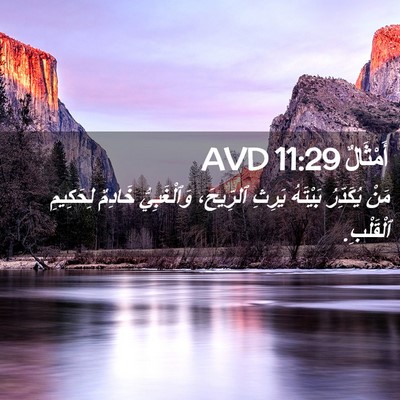 Picture 02 - أَمْثَالٌ 11:29 AVD - مَنْ يُكَدِّرُ بَيْتَهُ - Bible Verse Picture