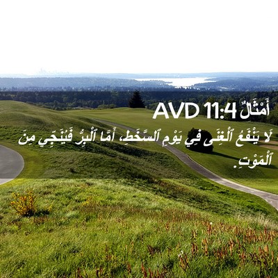 Picture 02 - أَمْثَالٌ 11:4 AVD - لَا يَنْفَعُ ٱلْغِنَى فِي - Bible Verse Picture