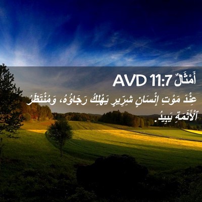 Picture 02 - أَمْثَالٌ 11:7 AVD - عِنْدَ مَوْتِ إِنْسَانٍ - Bible Verse Picture
