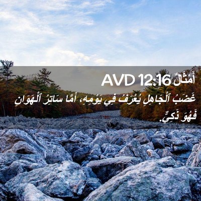 Picture 02 - أَمْثَالٌ 12:16 AVD - غَضَبُ ٱلْجَاهِلِ - Bible Verse Picture