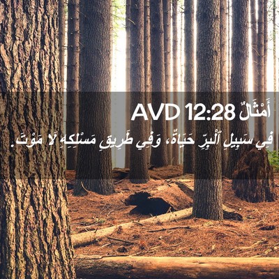 Picture 02 - أَمْثَالٌ 12:28 AVD - فِي سَبِيلِ ٱلْبِرِّ - Bible Verse Picture