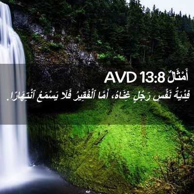 Picture 02 - أَمْثَالٌ 13:8 AVD - فِدْيَةُ نَفْسِ رَجُلٍ - Bible Verse Picture