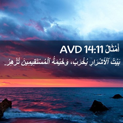 Picture 02 - أَمْثَالٌ 14:11 AVD - بَيْتُ ٱلْأَشْرَارِ - Bible Verse Picture