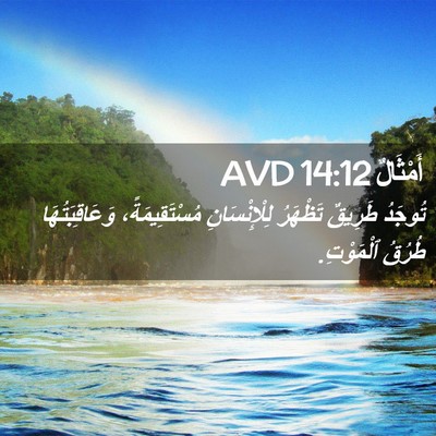 Picture 02 - أَمْثَالٌ 14:12 AVD - تُوجَدُ طَرِيقٌ تَظْهَرُ - Bible Verse Picture