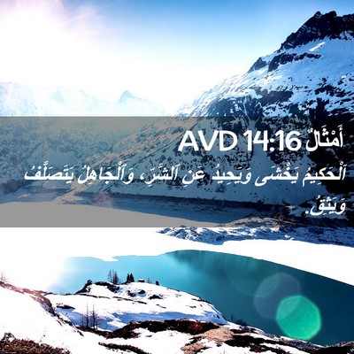 Picture 02 - أَمْثَالٌ 14:16 AVD - اَلْحَكِيمُ يَخْشَى - Bible Verse Picture