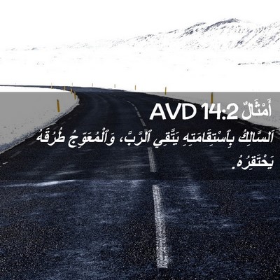 Picture 02 - أَمْثَالٌ 14:2 AVD - اَلسَّالِكُ - Bible Verse Picture