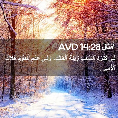 Picture 02 - أَمْثَالٌ 14:28 AVD - فِي كَثْرَةِ ٱلشَّعْبِ - Bible Verse Picture